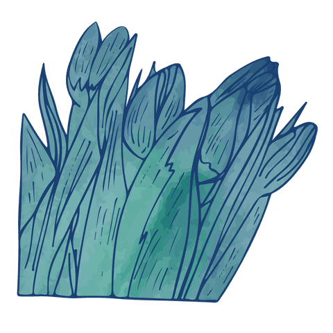 Digital illustration transparent grass and flowers design