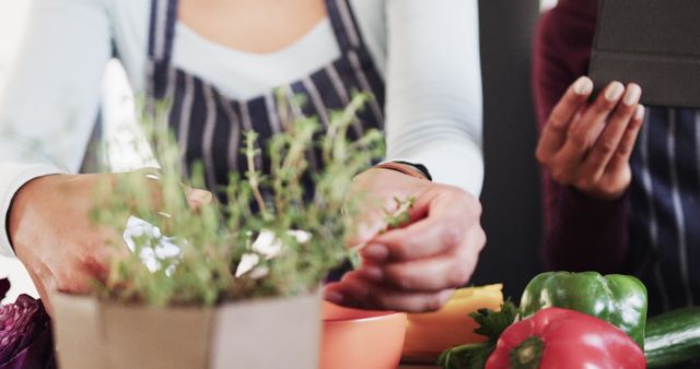 Culinary Enthusiasts Preparing Fresh Ingredients in Kitchen - Download Free Stock Images Pikwizard.com