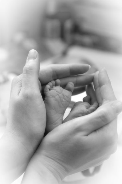 This tender and intimate moment shows hands cradling a newborn baby's foot. The black and white tone as well as the soft focus creates a gentle, ethereal feel. This can be used in maternal health campaigns, parenting magazines, family blogs, and products related to babies and family care.