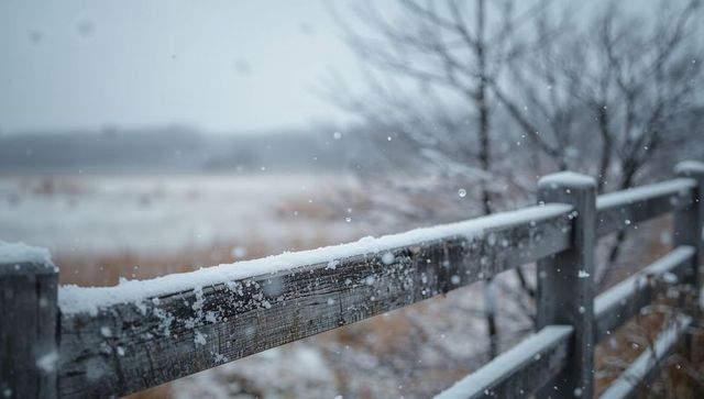 Serene snow-dusted weathered wooden fence running along marsh edge with falling snowflakes