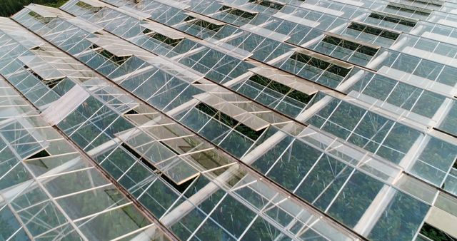 Aerial View of Large Modern Greenhouse with Glass Roof - Download Free Stock Images Pikwizard.com