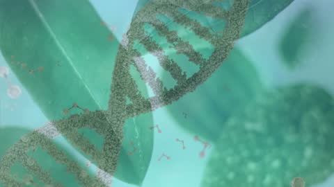 DNA Strand Animation Overlaying Leaves in Scientific Visualization