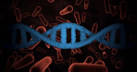 Dna double helix with bacteria in microbiology concept