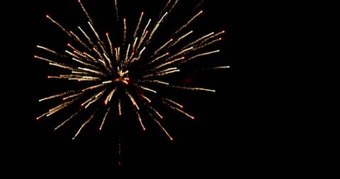 Vibrant firework burst in dark night sky