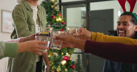 Diverse friends celebrating with holiday toast by christmas tree