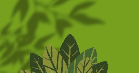 Vibrant green leaf art with natural shadows