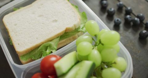 Healthy Packed Lunch with Fruits and Vegetables