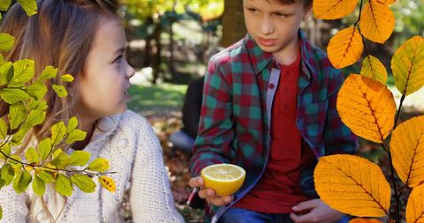 Children Enjoying Autumn Day with Fresh Orange Outdoors