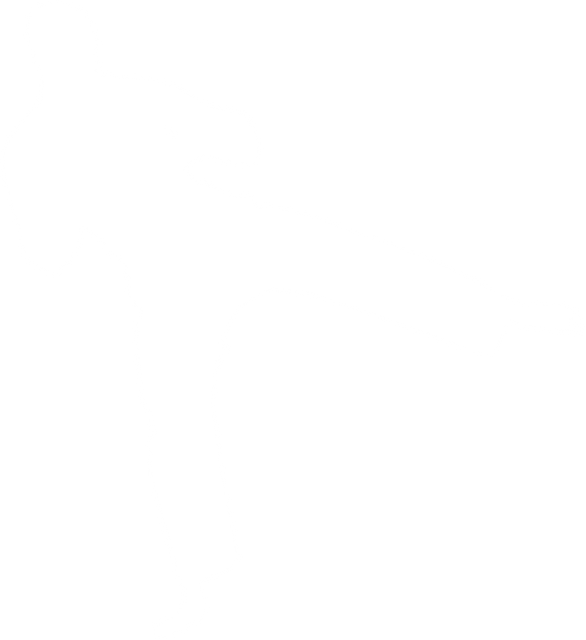 Martial Artist Kicking Boxing Action Transparent Background Silhouette - Download Free Stock Videos Pikwizard.com