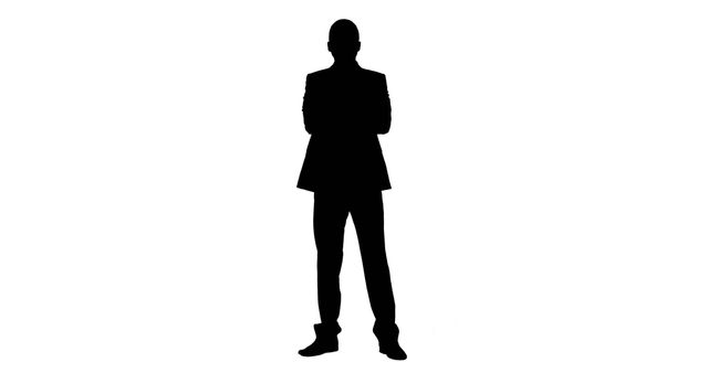 Professionally Dressed Businessperson Silhouette Standing Confidently - Download Free Stock Images Pikwizard.com