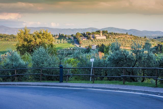 This image showcases a picturesque view of the Tuscan countryside with its rolling hills, lush vineyards, and a serene horizon. Ideal for use in travel blogs, tourism advertisements, and nature calendars. Perfect for illustrating themes of rural tranquility, Italian heritage, and scenic beauty.