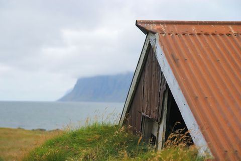 Weathered hut with rusted metal roof contrasting lush grass, hinting at bygone era. Atmospheric overcast sky enhances remote coastal treescape vibe. Useful for illustrating themes of isolation, nostalgia, or nature's reclamation.