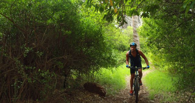 Mountain Biker Riding Through Lush Forest Trail - Download Free Stock Images Pikwizard.com