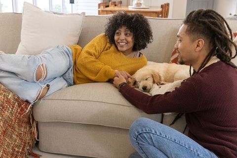 African american couple reclining on sofa holding hands with sleeping puppy cozy lifestyle