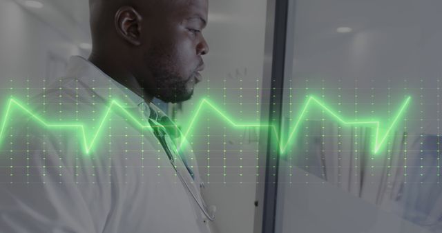 Focused Doctor Analyzing Digital Heart Rate Data in Medical Facility - Download Free Stock Images Pikwizard.com