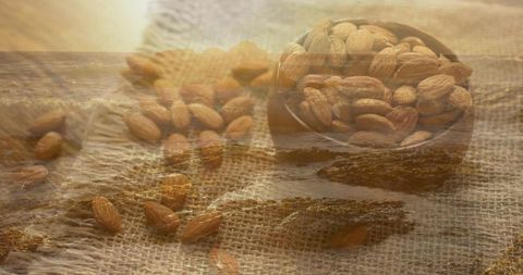 Rustic almond bowl with coastal overlay on warm burlap texture for natural food branding