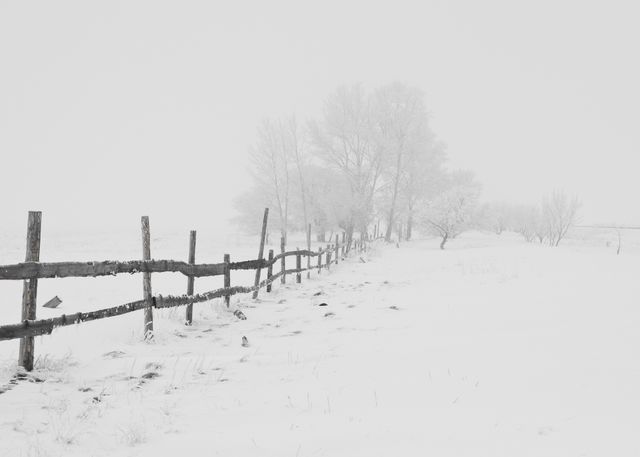 Winter countryside scene with a rustic wooden fence stretching through snow-covered landscape, with blurry trees in background. Ideal for winter-themed designs, nature visuals, or as a calming background.