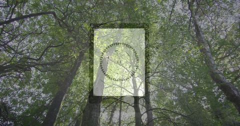 Abstract geometric design amidst lush tree canopy