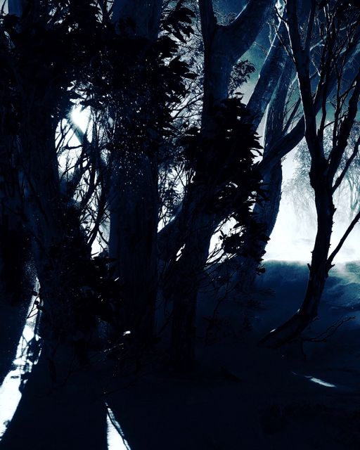 Mystical image of a dark forest with moonlight casting shadows, creating an eerie atmosphere. Useful for Halloween themes, horror artwork, book covers, or scenes depicting mystery and suspense.
