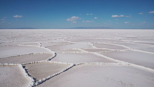 Stretching salt polygons on white salt flat with geometric ridges and distant mountains