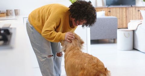 African american woman bending to pet golden retriever in bright cozy modern home interior