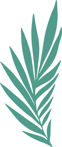 Transparent botanical stylized palm leaf in minimalist design