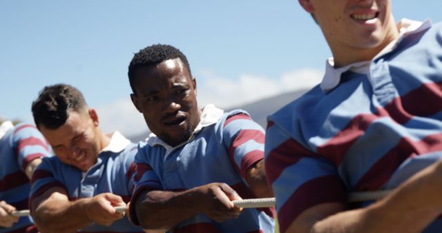 Multiracial Team Having Tug of War Competition Outdoors on Sunny Day - Download Free Stock Images Pikwizard.com