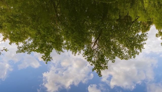 Green treeline reflecting on calm lake with cumulus clouds forming perfect symmetry