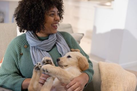 Joyful african american woman cuddling golden retriever puppy on cozy sofa