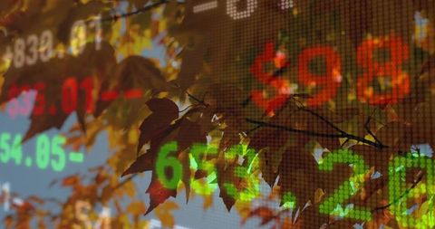 Autumn leaves overlaying digital stock market ticker, glowing green and red numbers