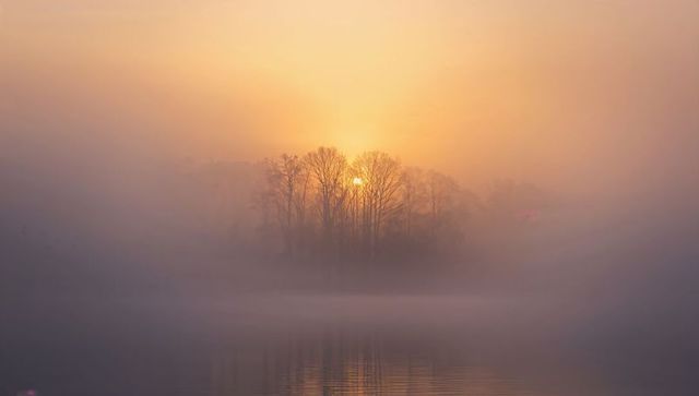 Golden sunrise glowing through misty island trees over calm lake with soft reflections