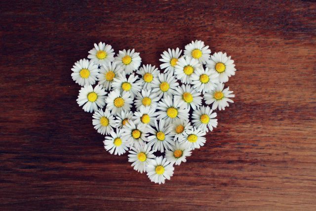 Yellow daisies arranged in a heart shape on a wooden surface. Perfect for romantic designs, Valentine's Day themes, nature-inspired projects, floral arrangements, or springtime promotional materials.