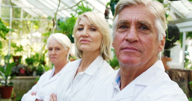 Senior Scientists Working in Greenhouse - Download Free Stock Images Pikwizard.com