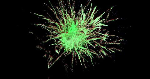 Vibrant green and red fireworks burst in night sky