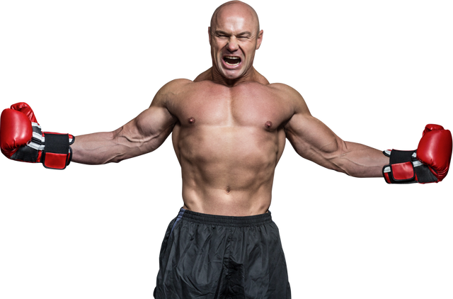 Boxer with Arms Outstretched in Victory Pose on Transparent Background - Download Free Stock Videos Pikwizard.com