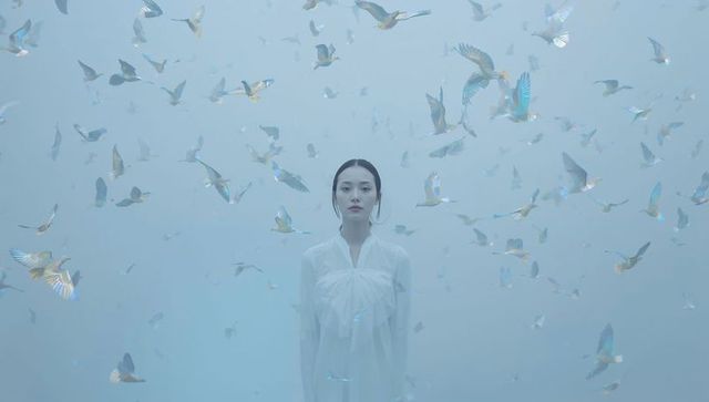 Standing woman amid iridescent birds in pale-blue minimal studio, ethereal serene mood