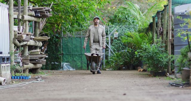 Back view of african american male gardener walking with wheelbarrow at garden center - Download Free Stock Photos Pikwizard.com