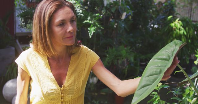 Woman Inspecting Green Leaf in Home Garden - Download Free Stock Images Pikwizard.com