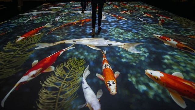 Visitors walking over koi floor projection with glowing koi reflections and aquatic plants