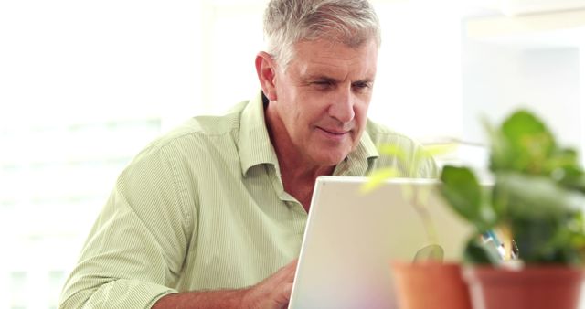 Senior Man Working on Laptop in Bright Modern Office - Download Free Stock Images Pikwizard.com