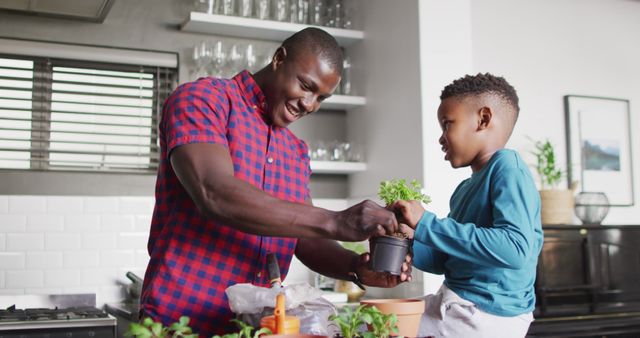Image of happy african american father and son planting flowers at home - Download Free Stock Photos Pikwizard.com