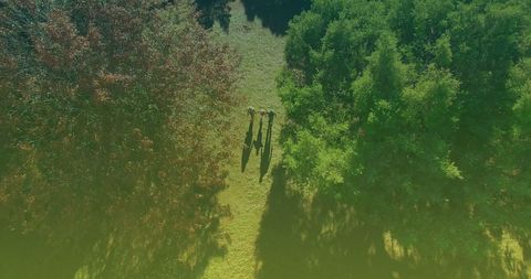 Aerial View of Family Strolling in Lush Park Pathway