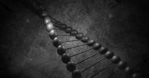 Abstract dna strand in black and white representation