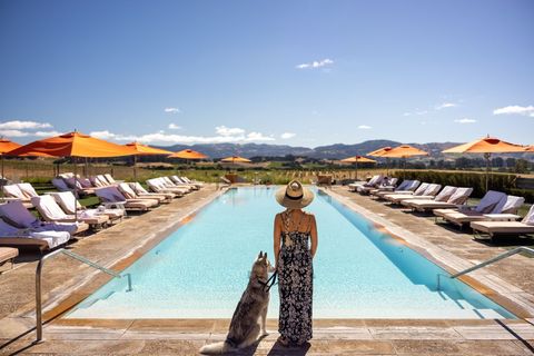 Woman relaxing by luxurious pool with dog