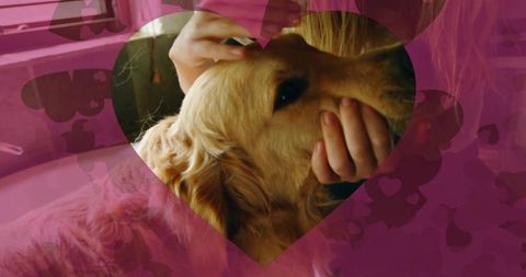 Cozy Golden Retriever Embrace During Car Ride with Love Heart Overlay