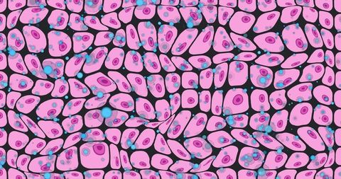 Pattern of Colored Microscopic Cells on Black Background