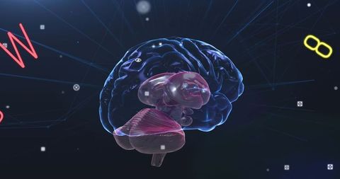 3D Rotating Brain with Floating Symbols and Science Concept - Download Free Stock Images Pikwizard.com