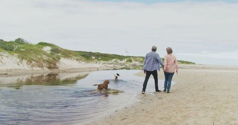 Senior Couple Enjoying Beach Walk with Dogs