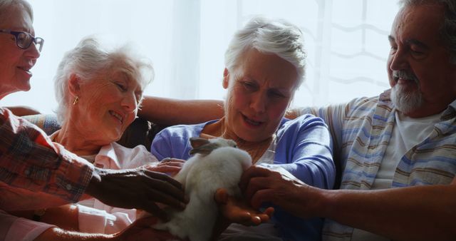 Seniors Enjoying Group Bonding with Pet Rabbit - Download Free Stock Images Pikwizard.com
