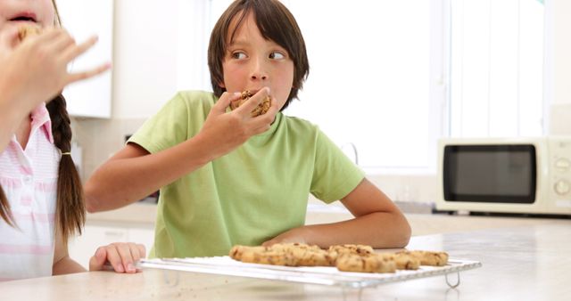 Young boy savoring homemade cookies in bright kitchen, creating joyful and comforting atmosphere. Perfect for use in family-oriented brands, home baking promotions, cooking blogs, and lifestyle content.